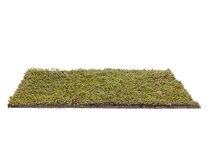 APOGREEN SEDUM 80X120CM